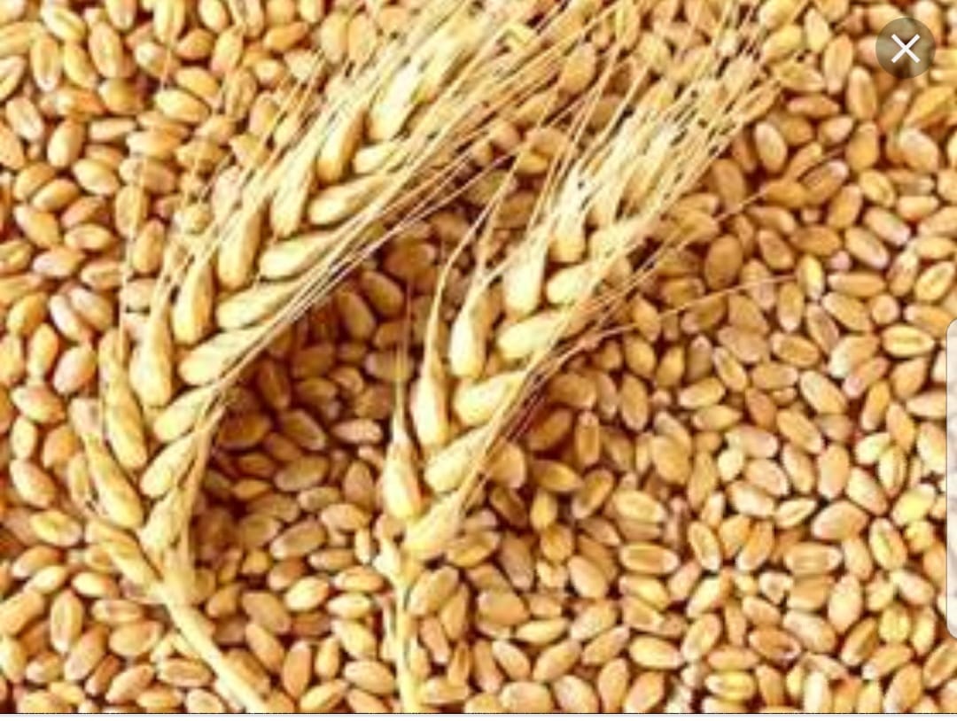 toyota logowelogo.blogspot.com