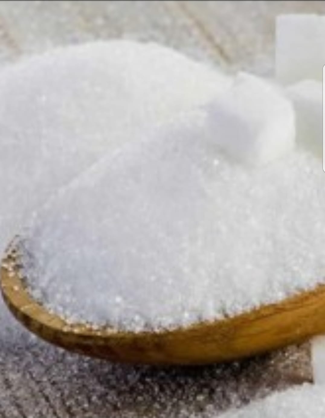 WhatsApp Image 2019 08 24 at 8.21.57 PM