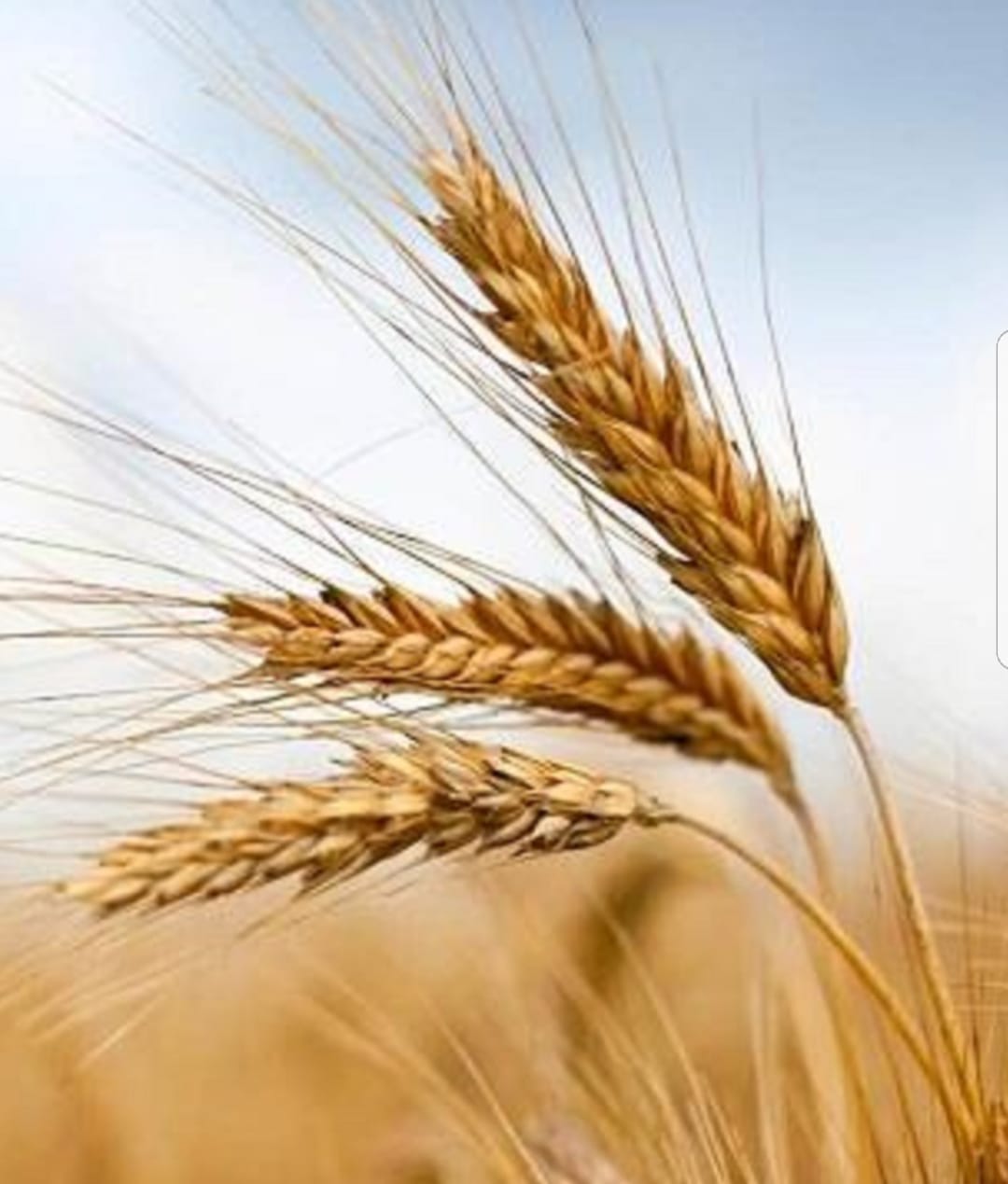 Image 2019 08 24 at 8.23.40 PM 1