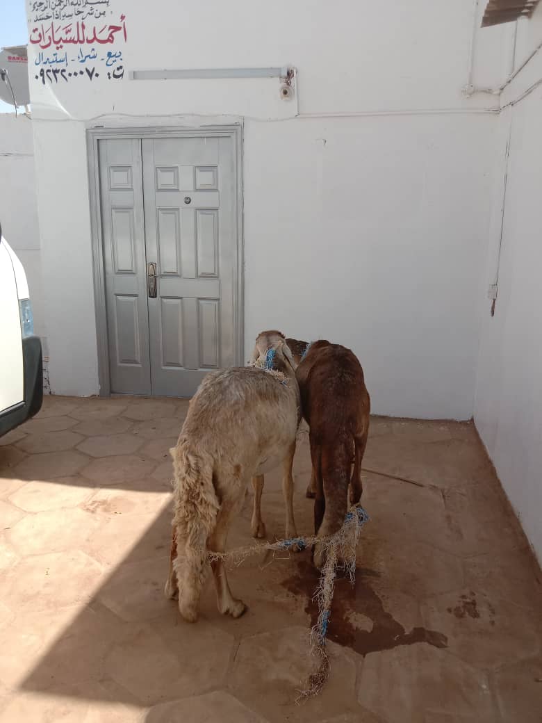 WhatsApp Image 2022 06 04 at 1.58.21 PM